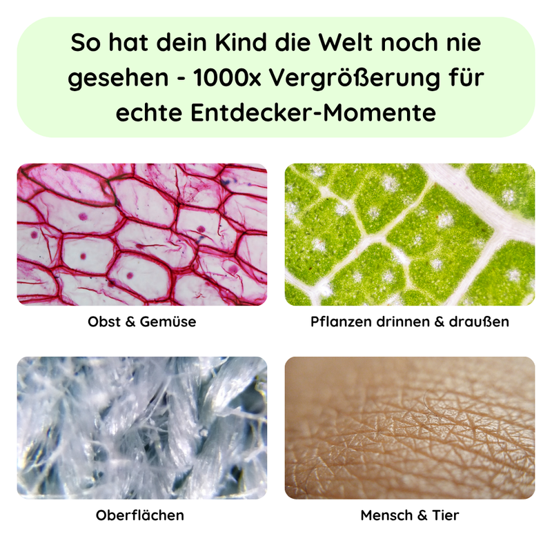 Entdecker Mikroskop für Kinder + Gratis Kartenset